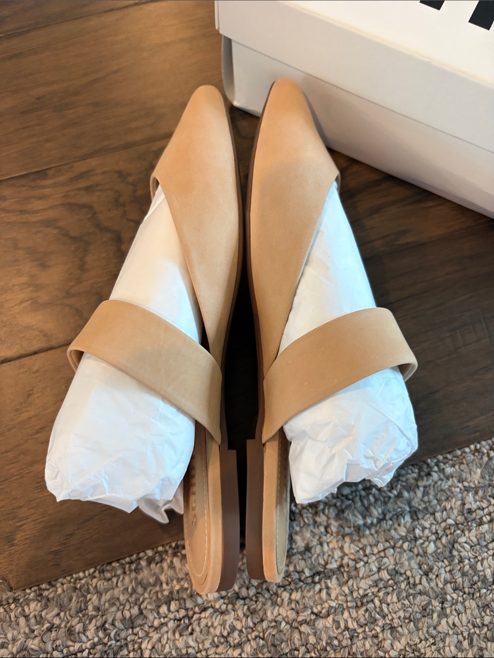 New In Box Schutz Adilia Pointed Toe Buckle Mule Flats Sz 8 - Picture 5 of 7